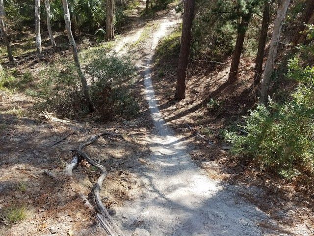 Graham Swamp MTB Trails